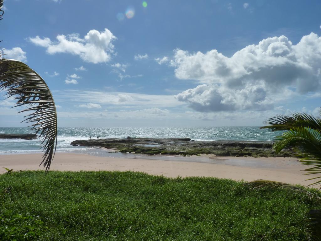 Alfazema Cultural Bed And Breakfast Arembepe Bagian luar foto